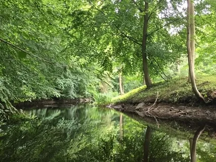 Regression To Childhood & Past Lives