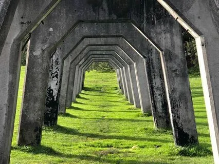 Regulate Your Nervous System Meditation