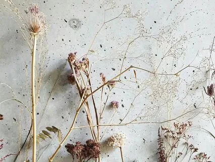 Regulate Your Nervous System