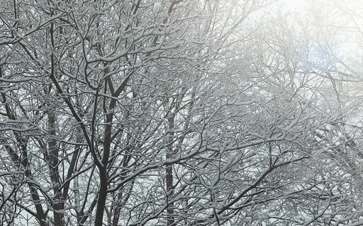 Regulating The Nervous System 