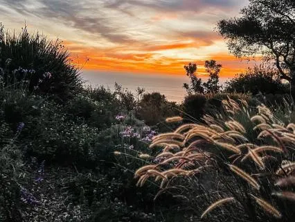 Regulating The Stress Response