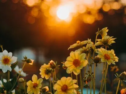 Regulating Your Nervous System