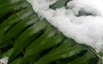 Rehydrate Your Headache 