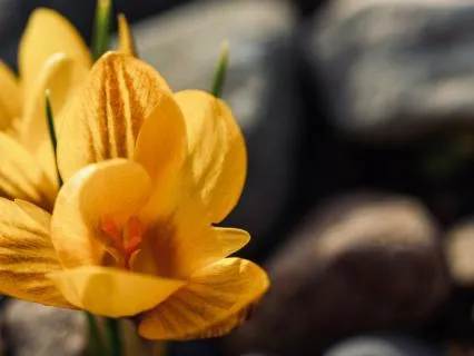 Reignite Your Resilience