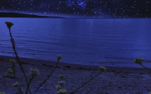 Reiki Body Scan For Relaxation & Sleep