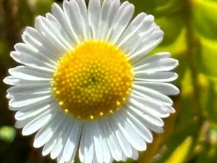 Reiki Body Scan Meditation For Daily Self-Care