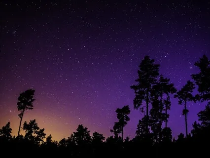 Reiki Chakra & Aura Meditation