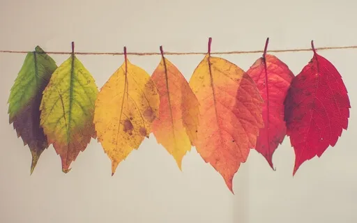 Reiki Chakra Balancing Session