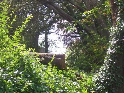 Reiki Chakra Cleansing Crystal Cave Journey (No Music)