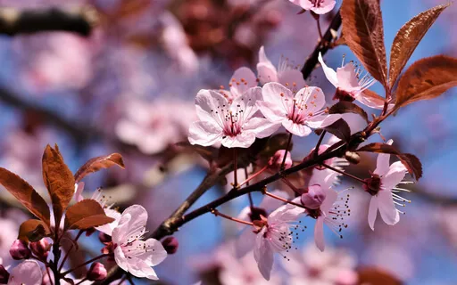 Reiki Chakra Full Self-Treatment