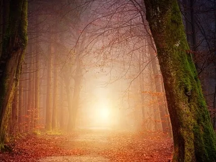 Reiki Drum - A Bridge Between The Worlds (Extended Version): Reiki Drum Journey