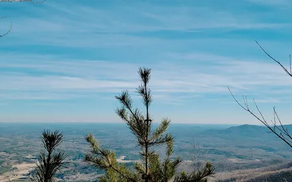 Reiki Energetic Clearing & Healing With Shamanic Drumming