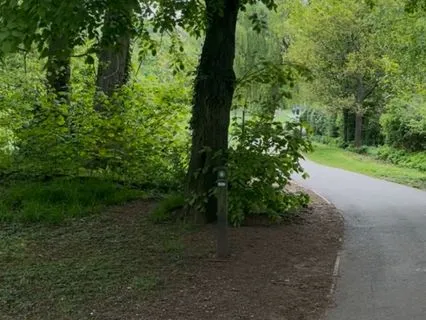 Reiki Energy For Goals That Serve Your Highest Good