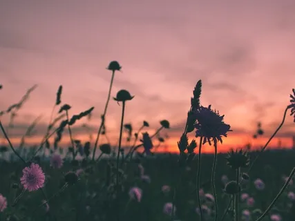 Reiki, Energy healing & Divine Feminine | Ep. 17