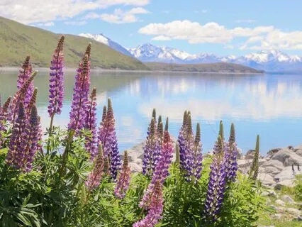 Reiki Energy Infused 333 Hz + 369 Hz Tuning Forks