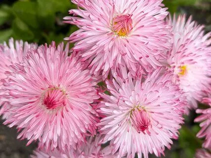 Reiki For Abundance In Business