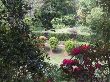 Reiki For Clarity, Presence And Protection - No Music