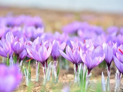 Reiki For Habit Change