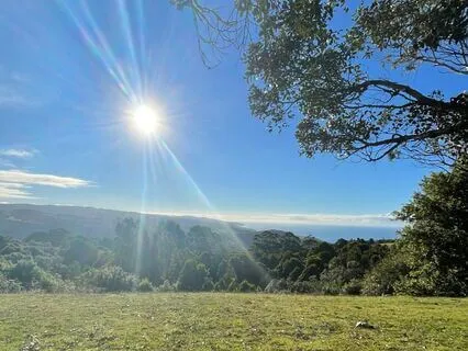 Reiki For Love And Kindness