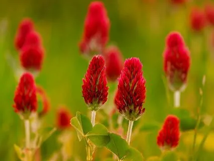 Reiki For Menstrual Pain