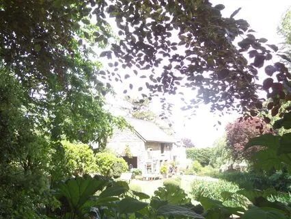 Reiki For Peace, Rest And Sleep | No Music