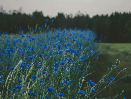 Reiki For Your Throat Chakra: Self-Expression, Communication