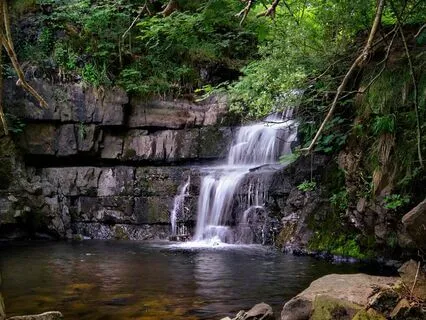 Reiki & Gamma Binaural Beat Music To Reach Calm Flow States