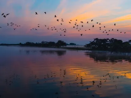 Reiki Healing Body Scan