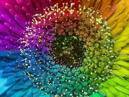 Reiki Healing For A Tender Heart