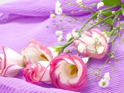 Reiki Healing For Sleep And Insomnia