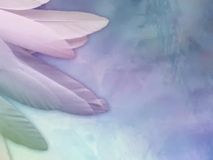 Reiki Healing Meditation