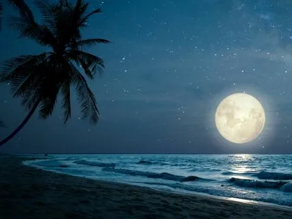 Reiki Healing Meditation For Stress & A Restful Sleep