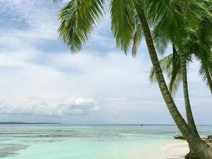 Reiki Healing Session 1