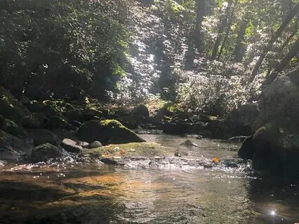 Reiki Infused 10-Minute Autumn Equinox Waterfall Meditation