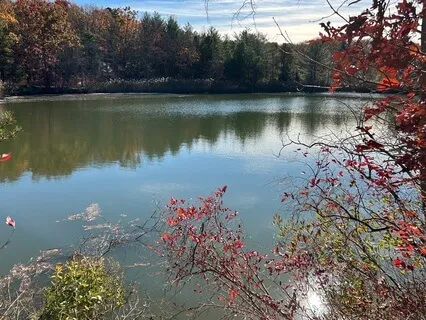 Reiki Infused Healing Meditation