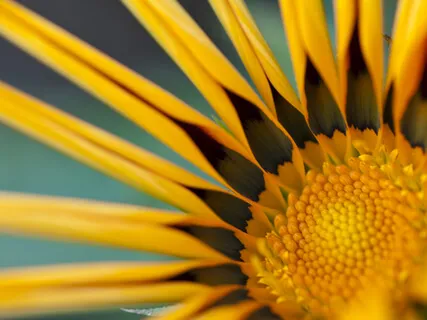 Reiki-Infused Heart Opening