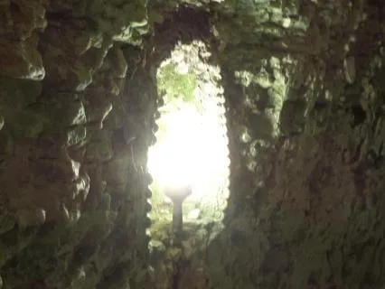 Reiki Infused - Library Of Light - Heal, Restore, Realign