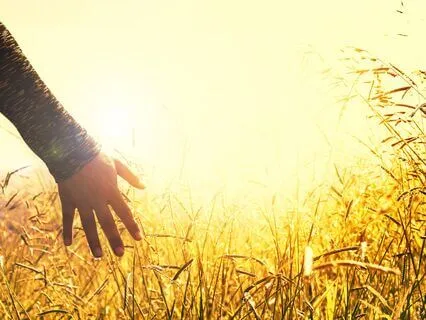 Reiki-Infused Loving Kindness For Peace