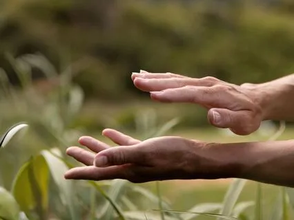 Reiki-Infused: Meditation For Pain Relief