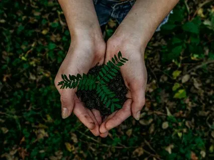 Reiki Infused Meditation - Live Session-Grounding Anxiety