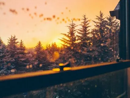 Reiki Infused Meditation - Live Session