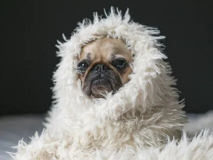 Reiki Infused Meditation- Self-Compassion-Live Session