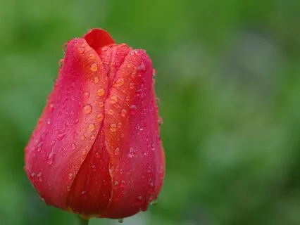 Reiki-Infused Music For Balancing The Chakras