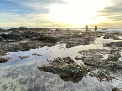 Reiki-infused Ocean Meditation