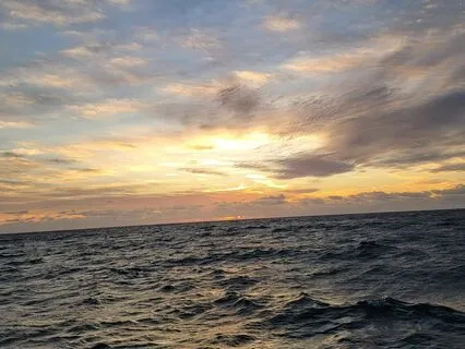 Reiki-Infused Sleep Meditation: Deep Rest And Healing