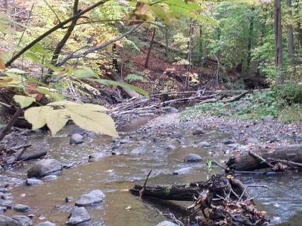 Reiki Infused Waterfall Of Golden Light Meditation