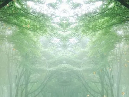 Reiki-Infused Yoga Nidra Sound Journey — Vol. 1: Earth