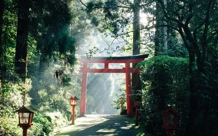 Reiki Journey To Mount Kurama