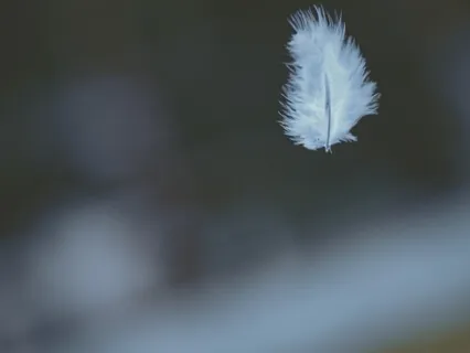 Reiki Manifestation Meditation