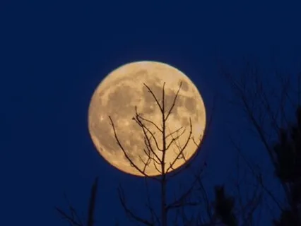 Reiki Meditation for Peaceful Sleep